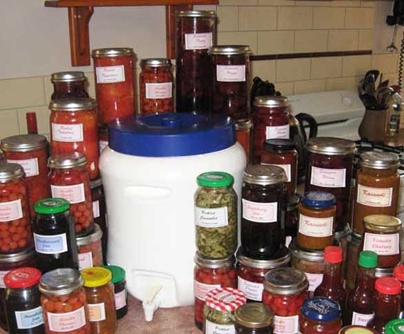 Photo of bottled home grown produce using the Fowlers bottling method.