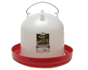 Photo of a small chicken waterer.