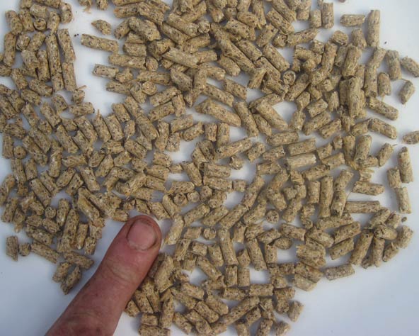 Large photo of layers pellets