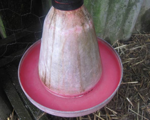 Large photo of automatic waterer