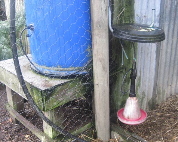 Large photo of my BEC hanging drinker attached to a small water tank.