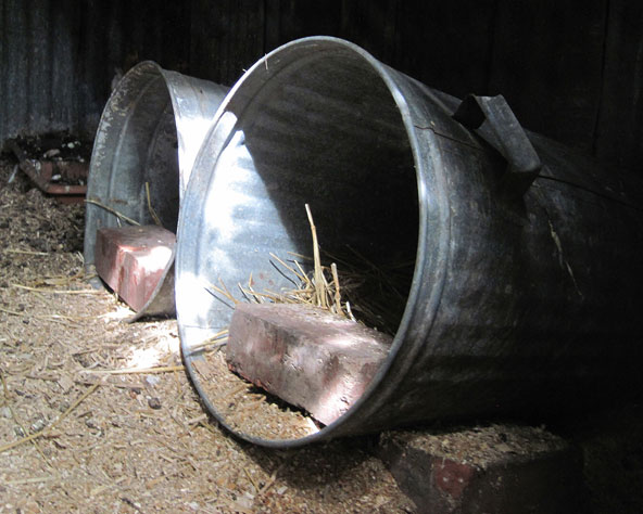 Large Photo of my original galvanised iron rubbish bin nest boxes