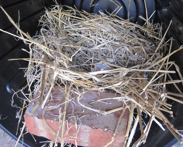Large photo of rubbish bin nest box interior with with straw in place.