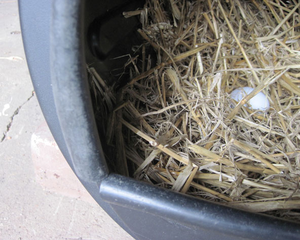 Large photo of close up of the 13 millimetre polypipe on the lip of the entrance.
