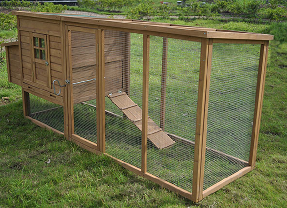 Large photo of a commercially available flat roofed chicken hutch