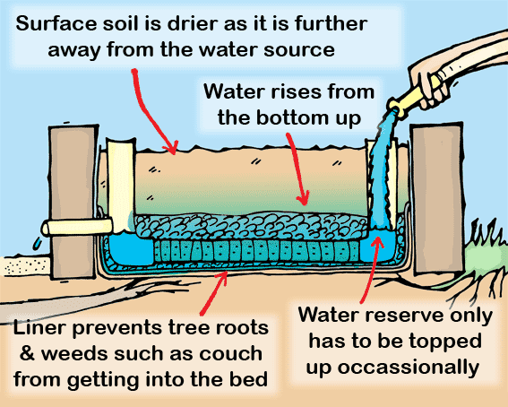 Larger illustration of the advantages of a wicking bed.