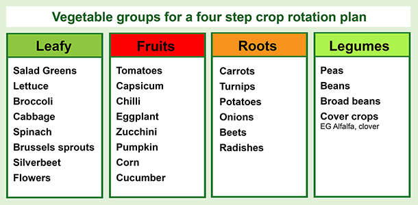 Illustration of the vegetable groups for a four stage crop rotation plan.