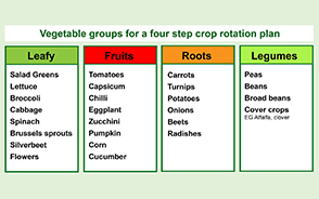 crop rotation introduction image 2