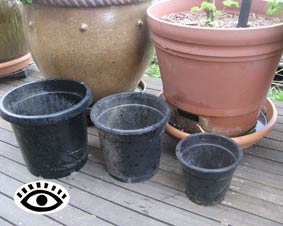 Photo of different size pots