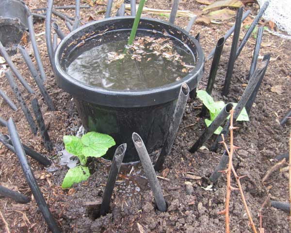 Large photo of a soak pot full of water.